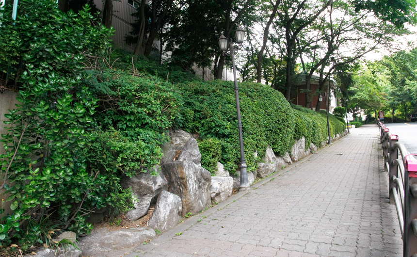 산책길