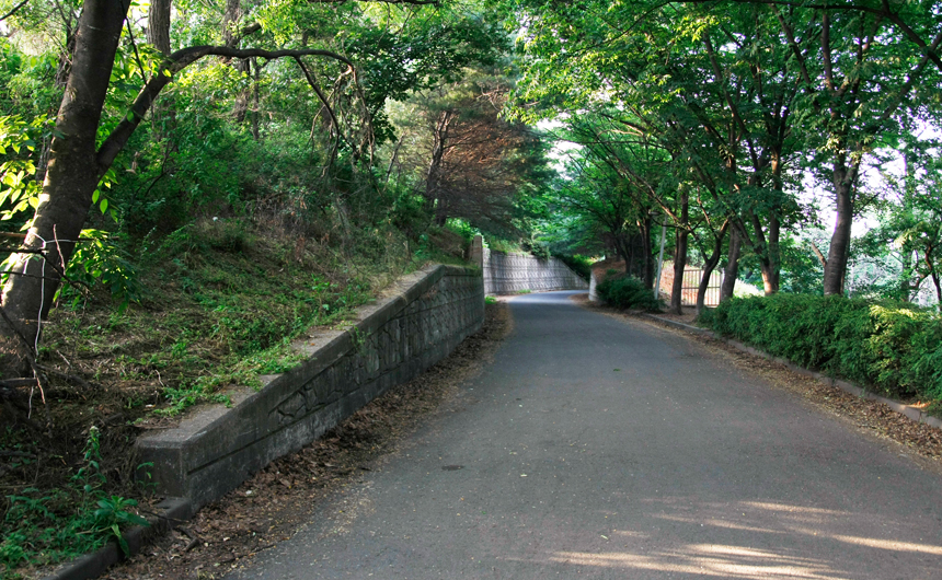 산책길